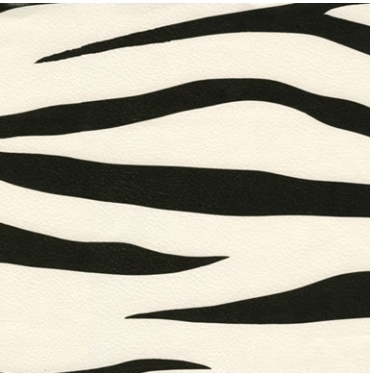 Zebra Desen